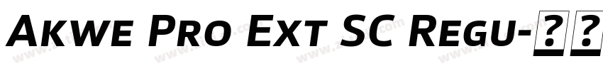 Akwe Pro Ext SC Regu字体转换